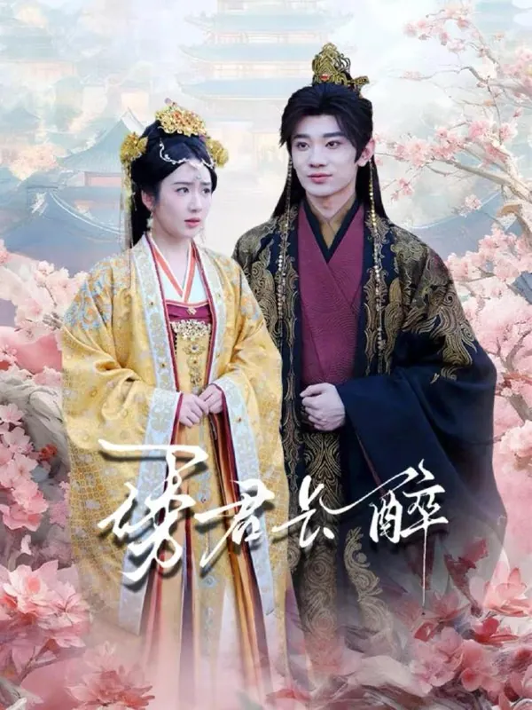 短剧：今日热门推荐目录13