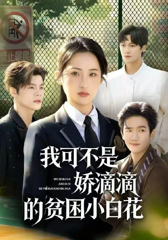 短剧：今日热门推荐目录6