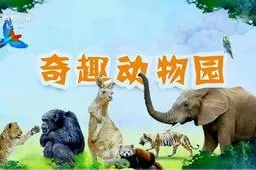 奇趣动物园