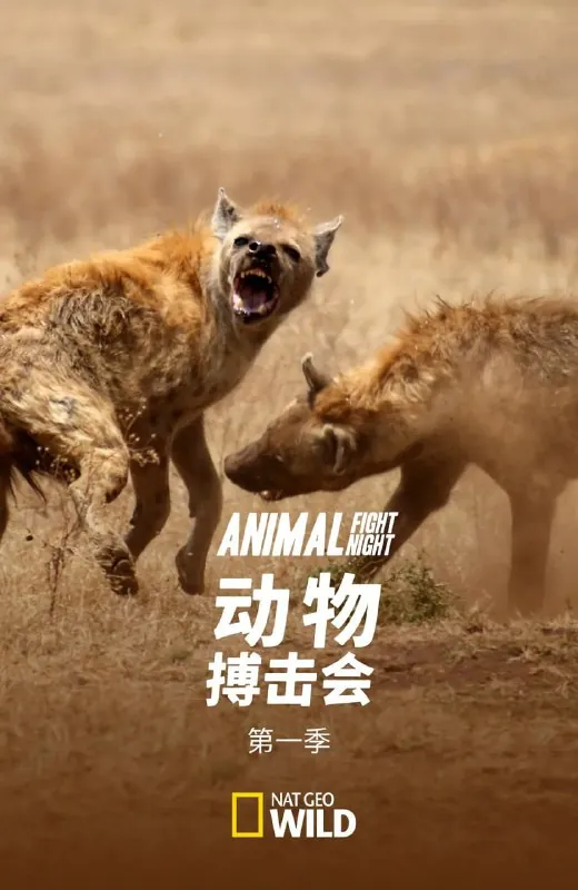 动物搏击会第一季