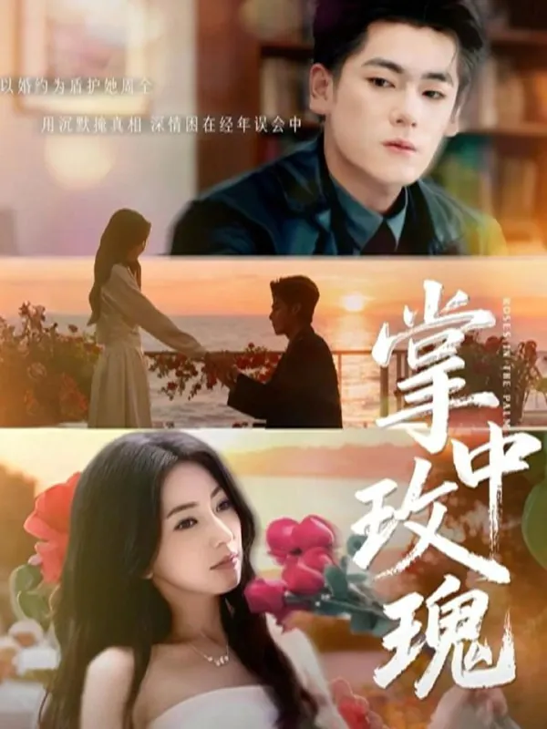 短剧合集目录13