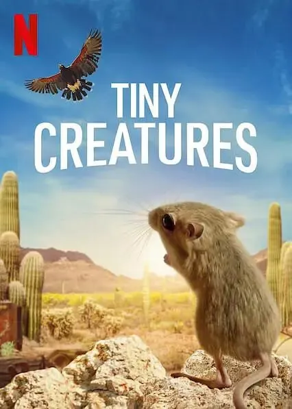 微观世界TinyCreatures