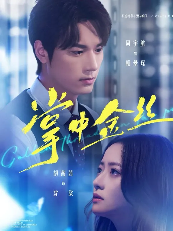 短剧：今日热门推荐目录4